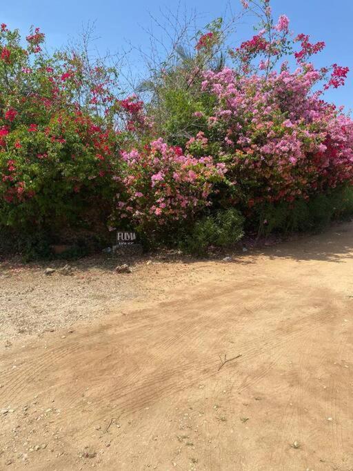 Fulvia House Villa Malindi Bagian luar foto