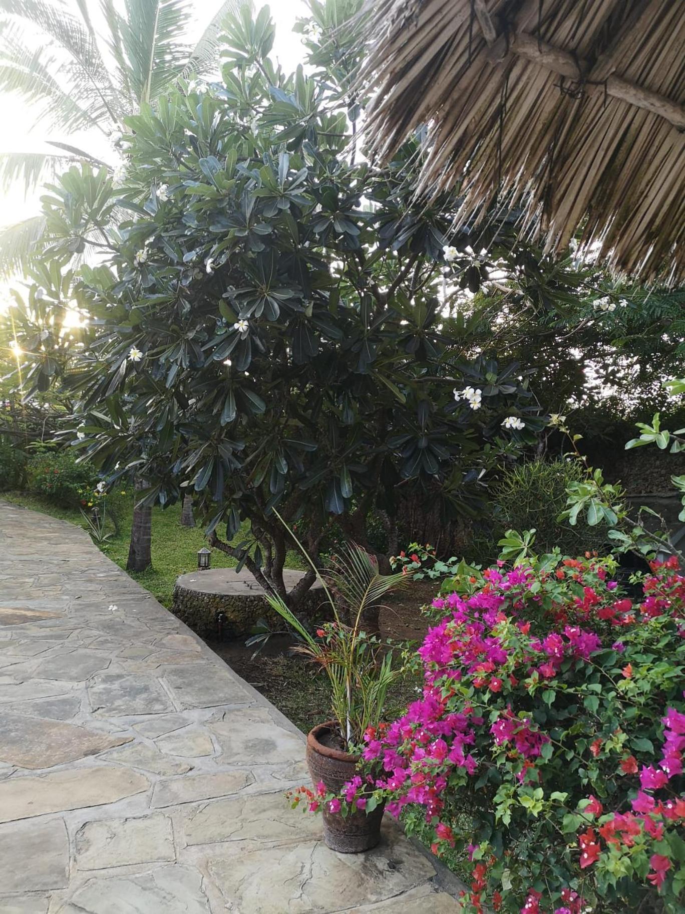 Fulvia House Villa Malindi Bagian luar foto