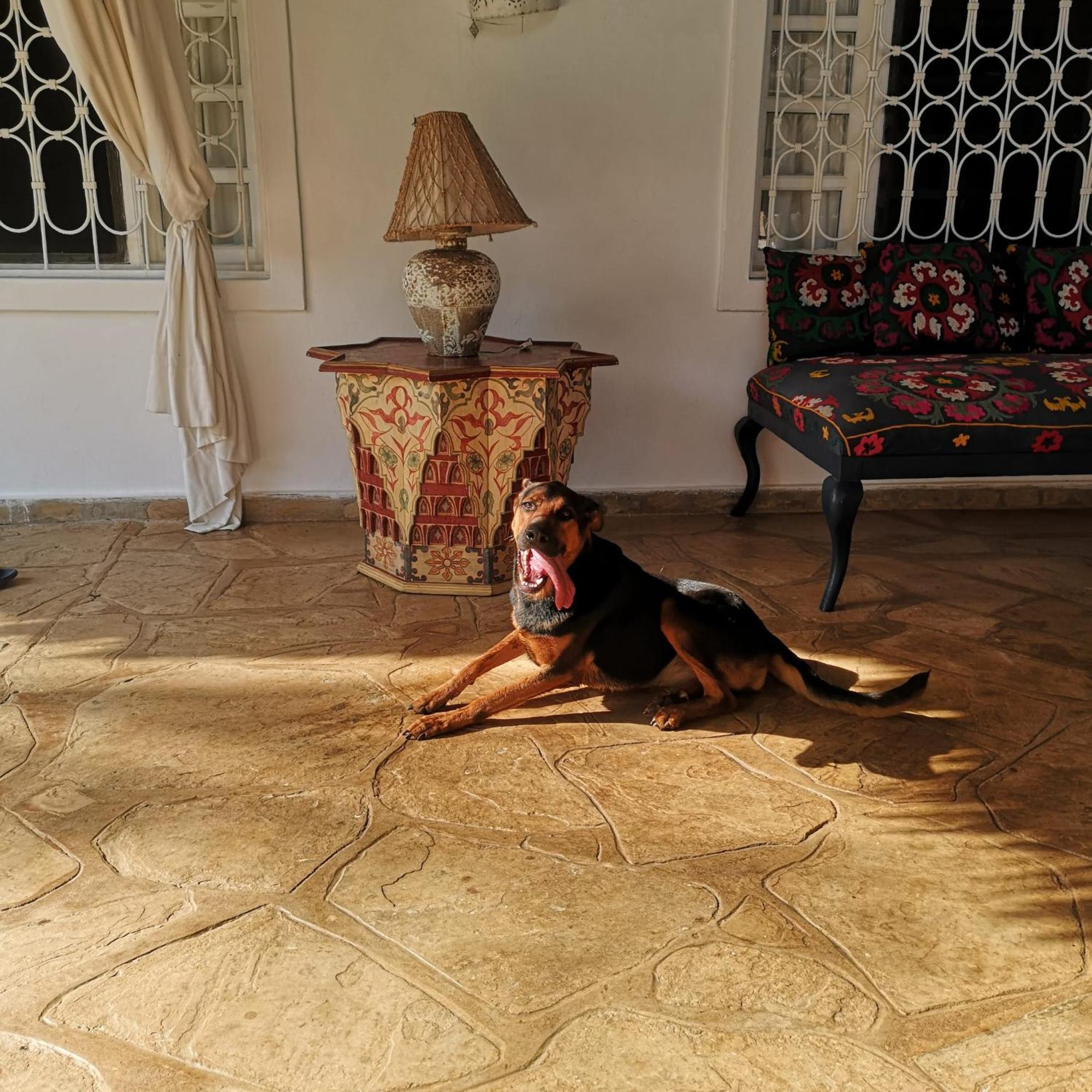 Fulvia House Villa Malindi Bagian luar foto